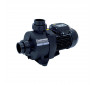 Насос Hayward HCP09101E KNG100 M.B(220В, 15.9м³/ч, 1лс)